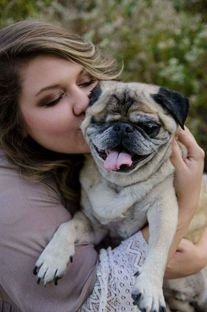 Incorporating deceased pet into wedding?