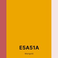 Fall 2023 wedding - 1