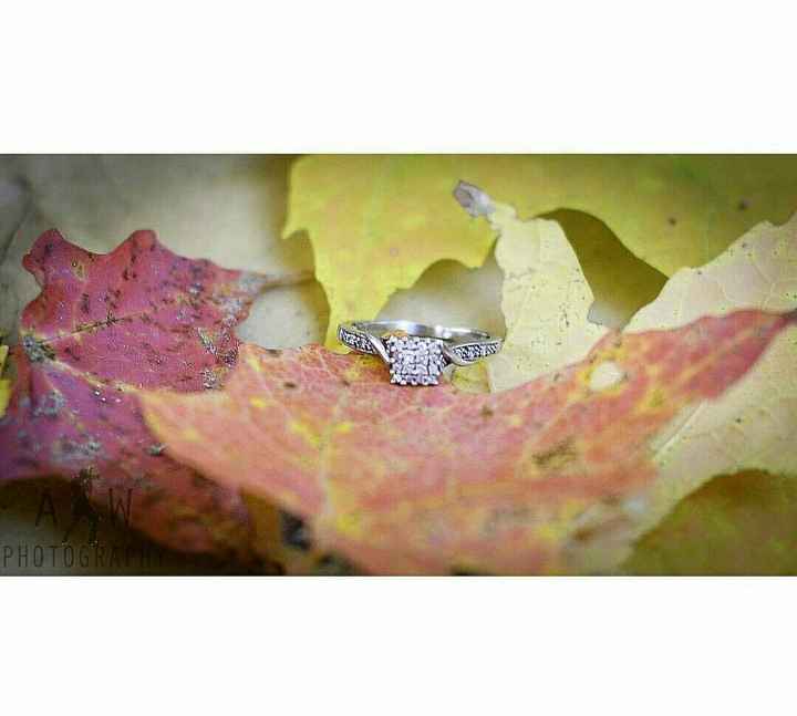 PHOTOGRAPHY OPINIONS