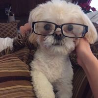 NWR: Bored? Show off your pets!