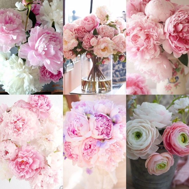 flower inspiration