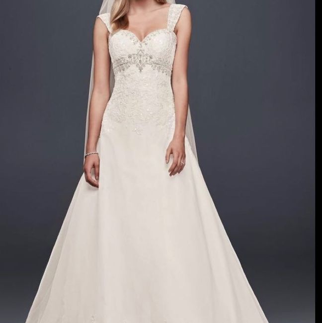 Wedding dress ( for fun) :)