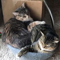 NWR:  Show me your fur babies!