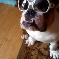 NWR: What kind of dog do you have?