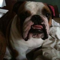 NWR: What kind of dog do you have?