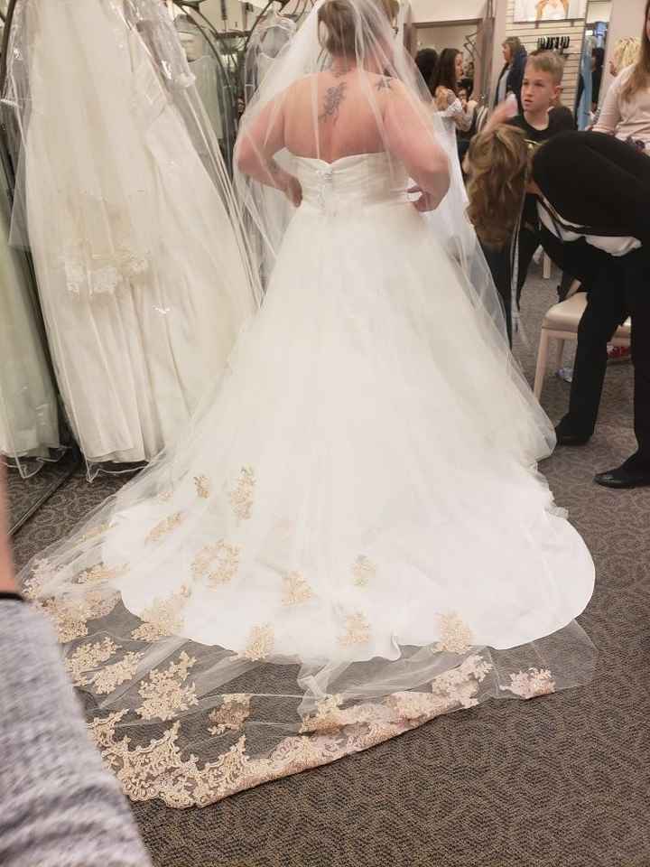 Any Plus Size Brides Out There? 4