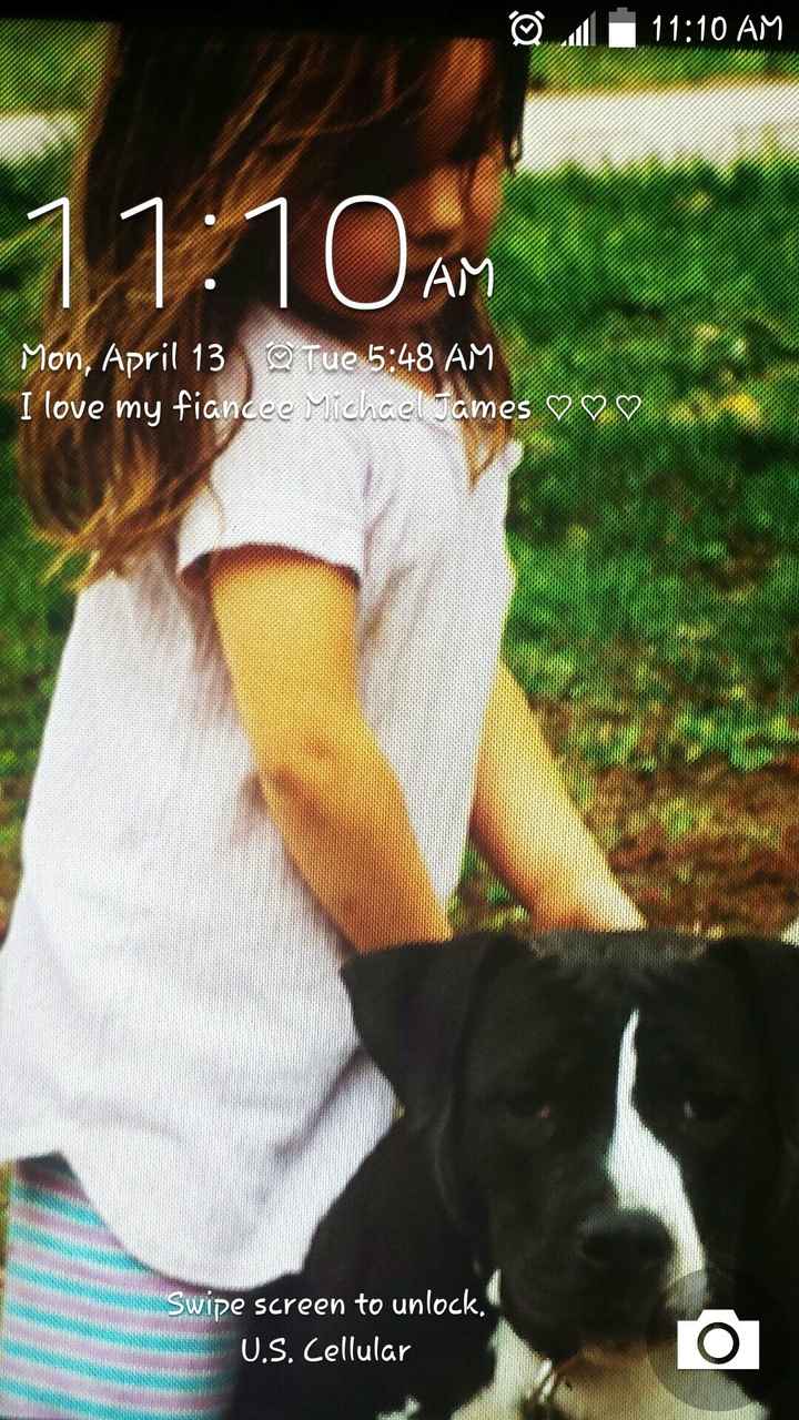 NWR My pitbull is too cute !!!