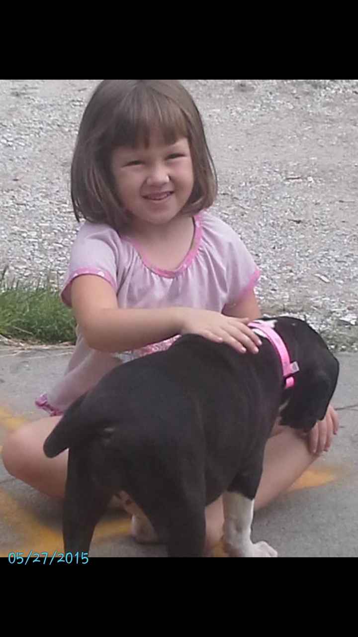 NWR My pitbull is too cute !!!