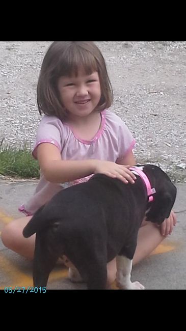 NWR My pitbull is too cute !!!