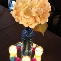 Finally..Pro Pic BAM (PIC HEAVY)