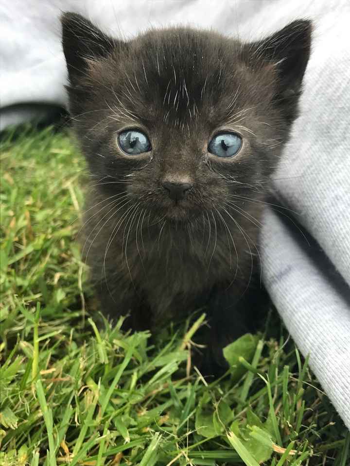 NWR - Adopting this beauty on Sunday!