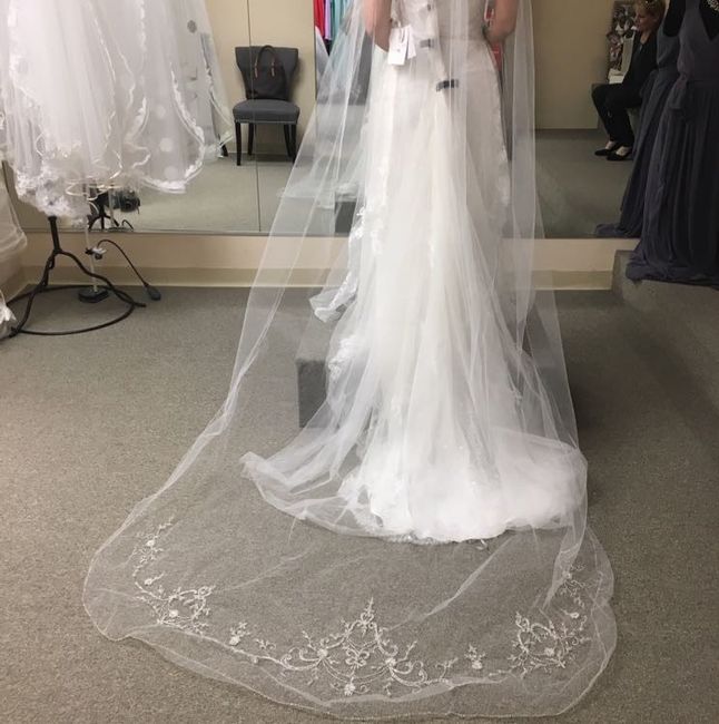 Can I see your veils???