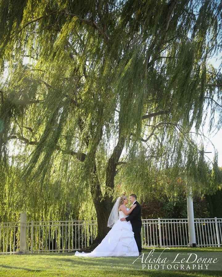 Professional Photos
