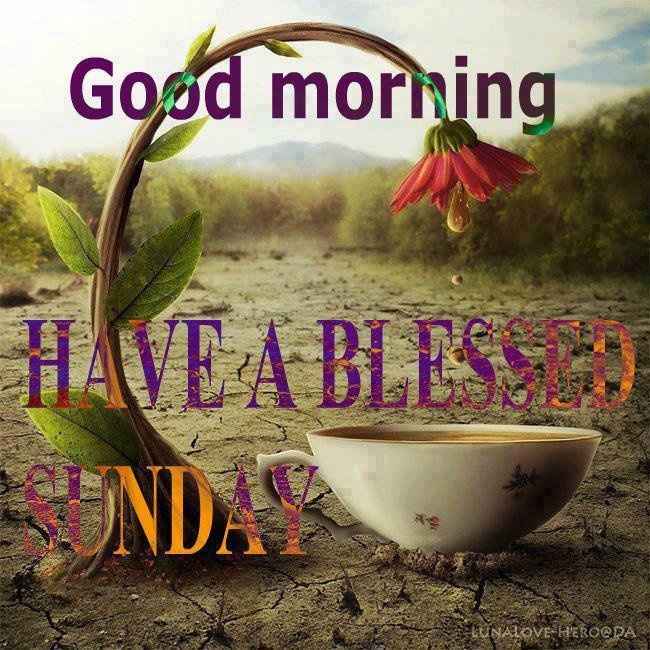 HAPPY SUNDAY WW FAM..: ENJOY!