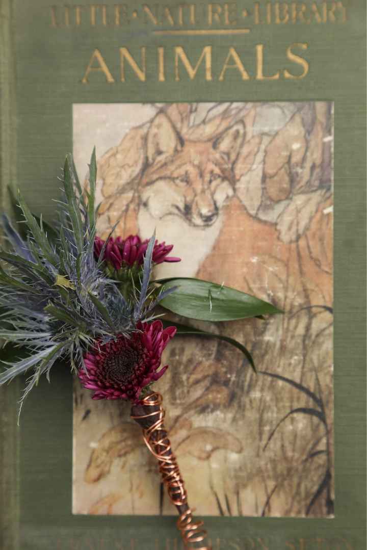 bam 10-19-19 Pro sneak peak photos - 9