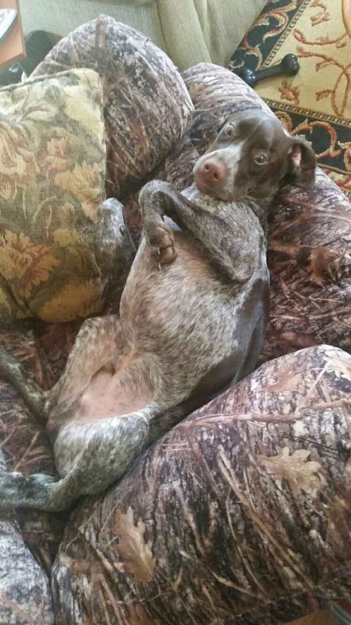 NWR: Fursday Thursday