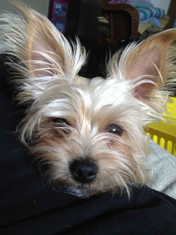 We've seen your rings, your dresses, your jewels.... show me your