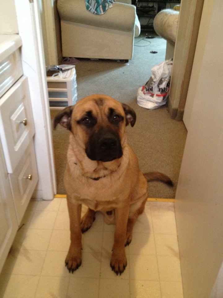 We've seen your rings, your dresses, your jewels.... show me your