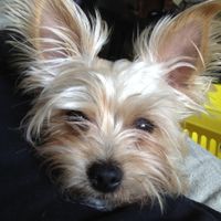 We've seen your rings, your dresses, your jewels.... show me your