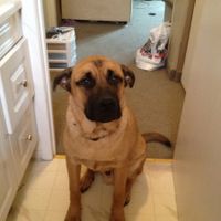 We've seen your rings, your dresses, your jewels.... show me your