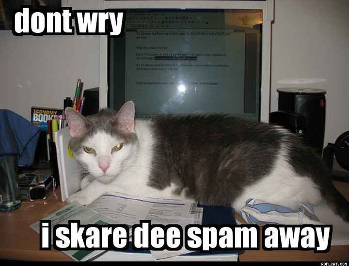 SINCE WE ARE STUCK WITH SPAM...HOW ABOUT CATS