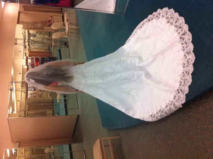 I said yes to the dress!!!!!  My davids bridal experience.....