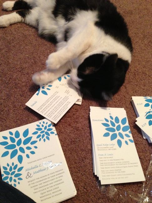 Invites and dress :)