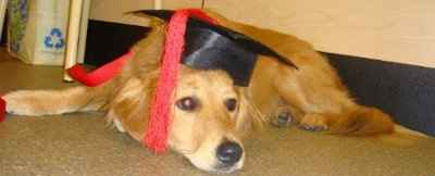 Let's see your pets!