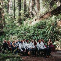 Pro Bam (pic heavy)  diy - 12