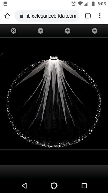Veil or No Veil? 6