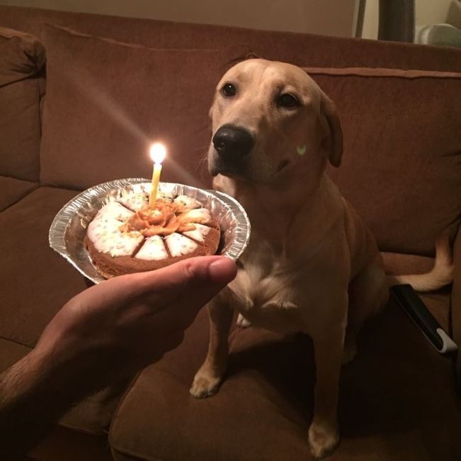Let me see those fur babies!