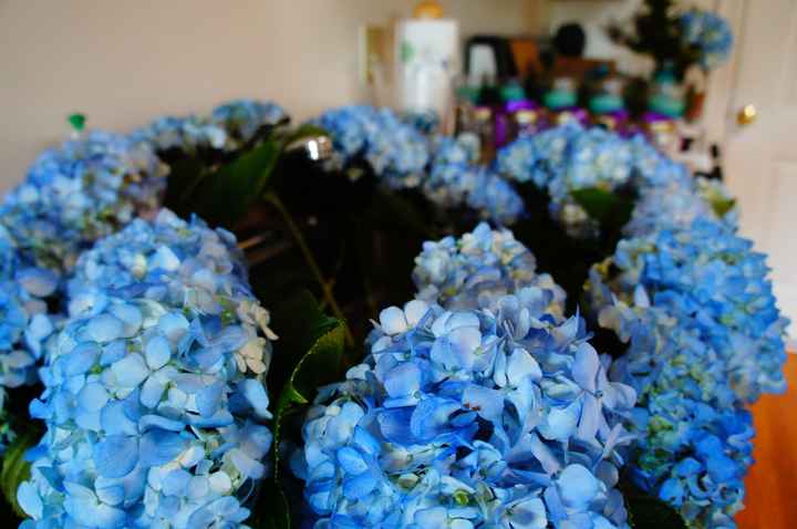 When something doesn't go as planned: Flower Issues