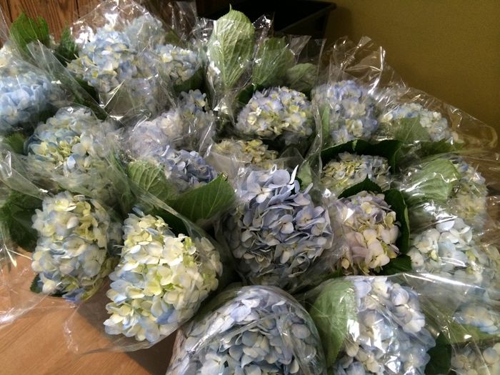 When something doesn't go as planned: Flower Issues