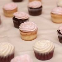 Mountains of cupcakes!! Advice?!