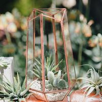 Himalayan salt centerpiece
