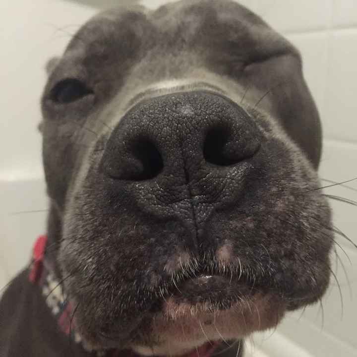 Just need to vent and cry a little