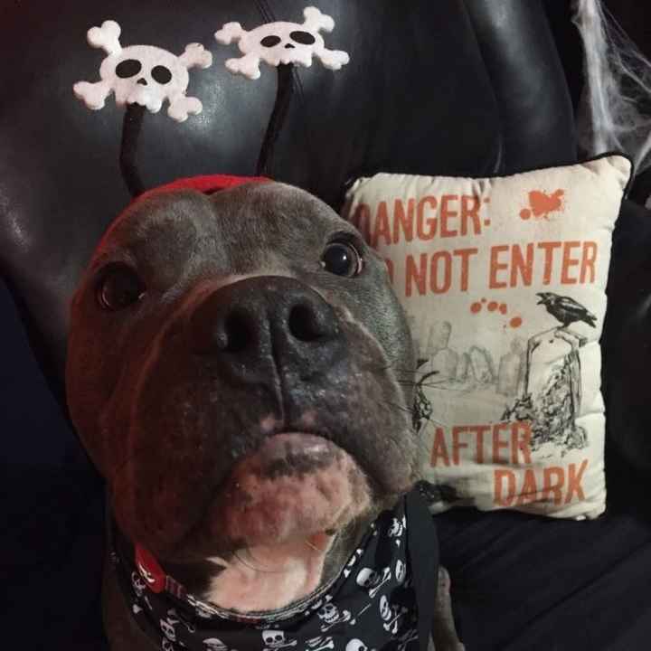 Nwr: puppy fever! (Pics included)