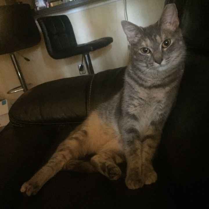 Something old, something new...