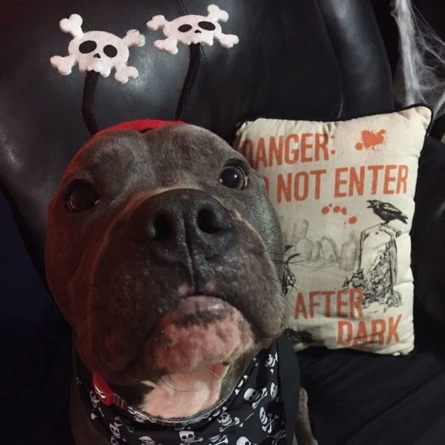 Nwr: puppy fever! (Pics included)