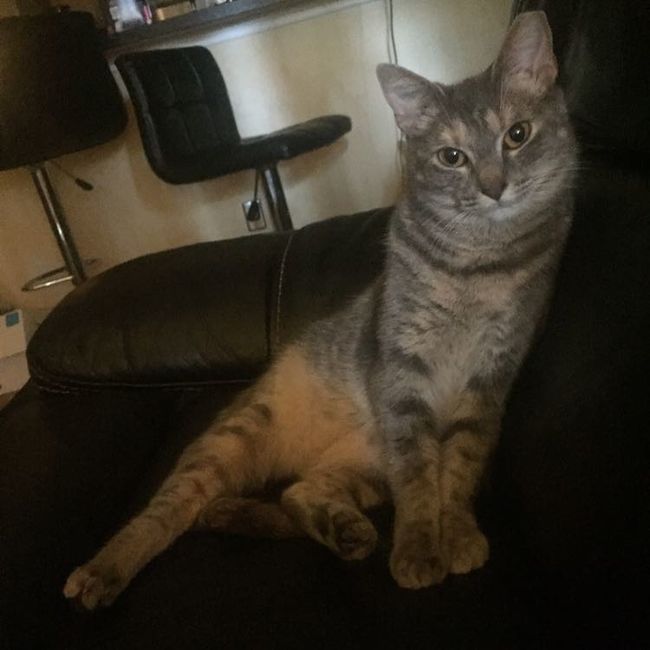 Something old, something new...