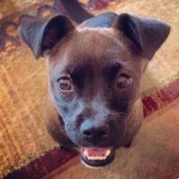 NWR: you and furbaby pic!