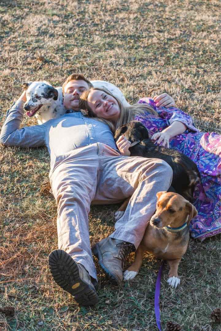 Favorite engagement pictures! - 2