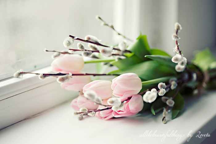 what are you thoughts on baby's breath?
