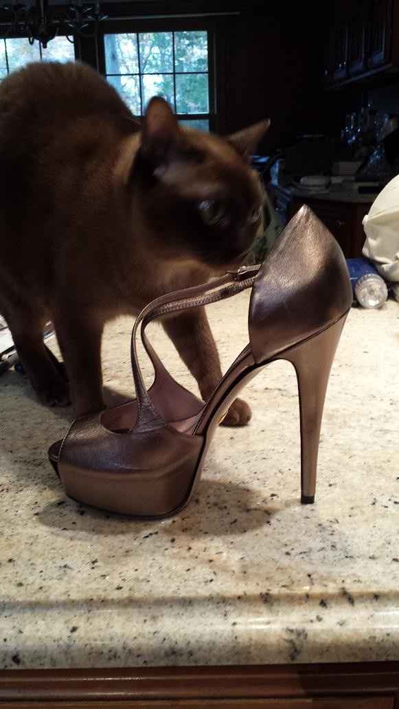 Show me your Wedding shoes!