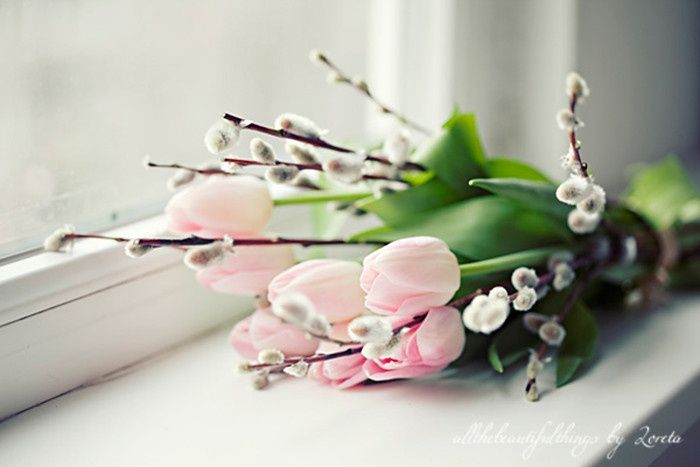 what are you thoughts on baby's breath?