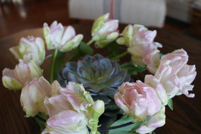 what are you thoughts on baby's breath?
