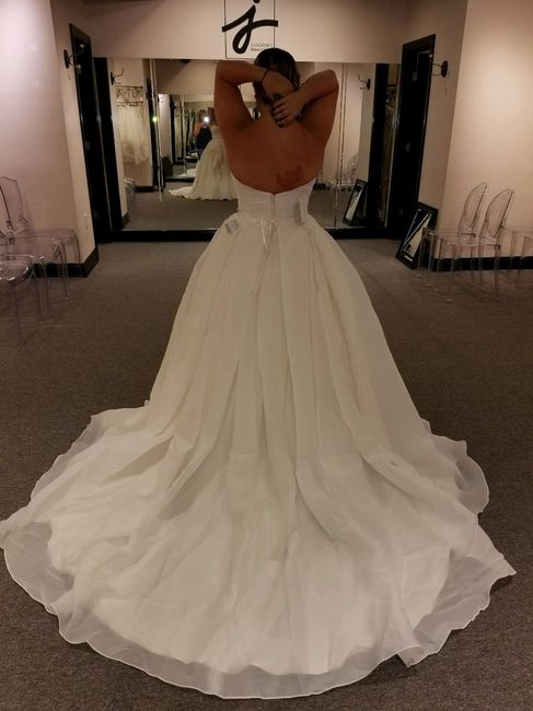 Does Your Dress Have a Train? 1