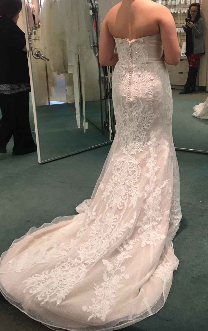  Just got my dress! - 1
