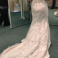  Just got my dress! - 1