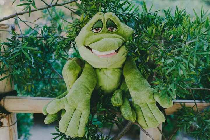 Instead he was turned into a frog lol ...